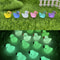 Glow In The Dark Mini Duck Figurines Micro Landscape Decor Set 3