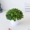 EverMini Bonsai Artificial Plant Potted Green Decor 6