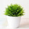 EverMini Bonsai Artificial Plant Potted Green Decor 7