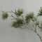 Realistic Artificial Pine Branch Elegant Green Decor 4
