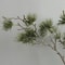 Realistic Artificial Pine Branch Elegant Green Decor 4