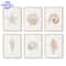 Coastal Seashell Wall Art Canvas Set Ocean Inspired Prints 0