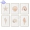 Coastal Seashell Wall Art Canvas Set Ocean Inspired Prints 0