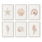 Coastal Seashell Wall Art Canvas Set Ocean Inspired Prints 12