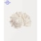 Coastal Seashell Wall Art Canvas Set Ocean Inspired Prints 2