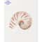 Coastal Seashell Wall Art Canvas Set Ocean Inspired Prints 4