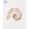 Coastal Seashell Wall Art Canvas Set Ocean Inspired Prints 4