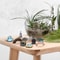 Mini Fairy Garden Accessories Set Landscape Decor Lighthouse Bridge Cottage 3