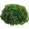 Artificial Moss Decor Natural Look Fake Moss For Crafts Plants And Centerpieces 9
