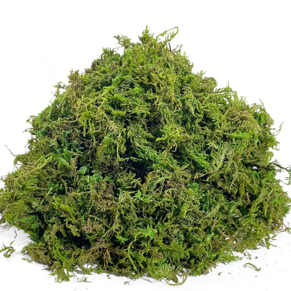 Artificial Moss Decor Natural Look Fake Moss For Crafts Plants And Centerpieces 7