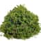 Artificial Moss Decor Natural Look Fake Moss For Crafts Plants And Centerpieces 7