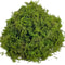 Artificial Moss Decor Natural Look Fake Moss For Crafts Plants And Centerpieces 8