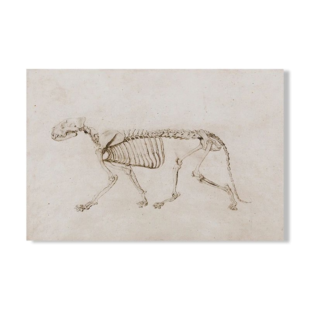 Vintage Owl Wall Art Dark Academia Canvas Cottagecore Nature Decor 9