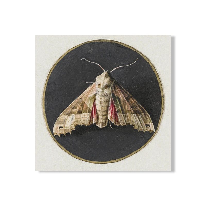 Vintage Owl Wall Art Dark Academia Canvas Cottagecore Nature Decor 7