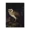 Vintage Owl Wall Art Dark Academia Canvas Cottagecore Nature Decor 15