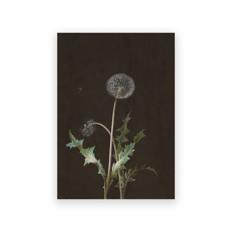 Vintage Owl Wall Art Dark Academia Canvas Cottagecore Nature Decor 16