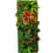 Artificial Boxwood Hedge Wall Panel Greenery Backdrop Garden Decor 16