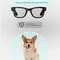 VisionX 4K Smart Camera Glasses With AI And Bluetooth Call 4