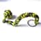 Monkey Fist Self Defense Keychain Steel Ball Survival Tool 18