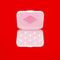 Portable Silicone Eartip Storage Case Transparent Dustproof Earbud Holder 3