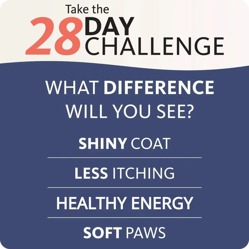 PurePaws Salmon Fish Oil Supplement 3