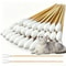 PureCare Pet Ear Cleaning Swabs 6