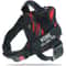 SecureFit Personalized Dog Harness 9