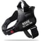SecureFit Personalized Dog Harness 3