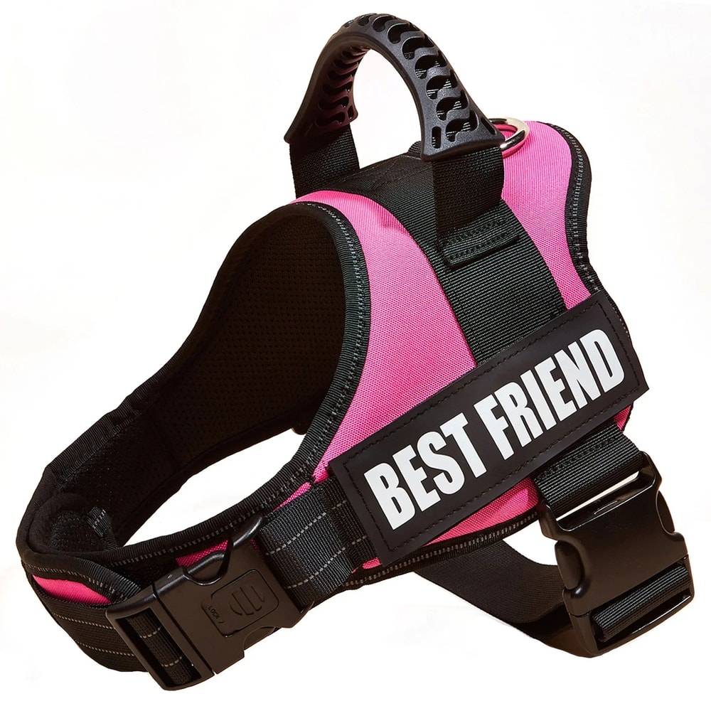 SecureFit Personalized Dog Harness 6