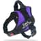 SecureFit Personalized Dog Harness 7