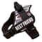 SecureFit Personalized Dog Harness 10