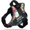SecureFit Personalized Dog Harness 12