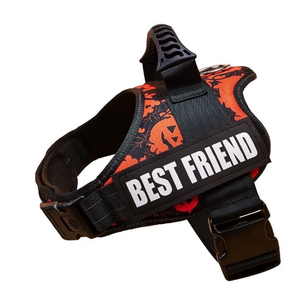 SecureFit Personalized Dog Harness 20