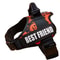 SecureFit Personalized Dog Harness 20