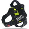 SecureFit Personalized Dog Harness 15