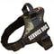 SecureFit Personalized Dog Harness 17