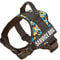 SecureFit Personalized Dog Harness 18