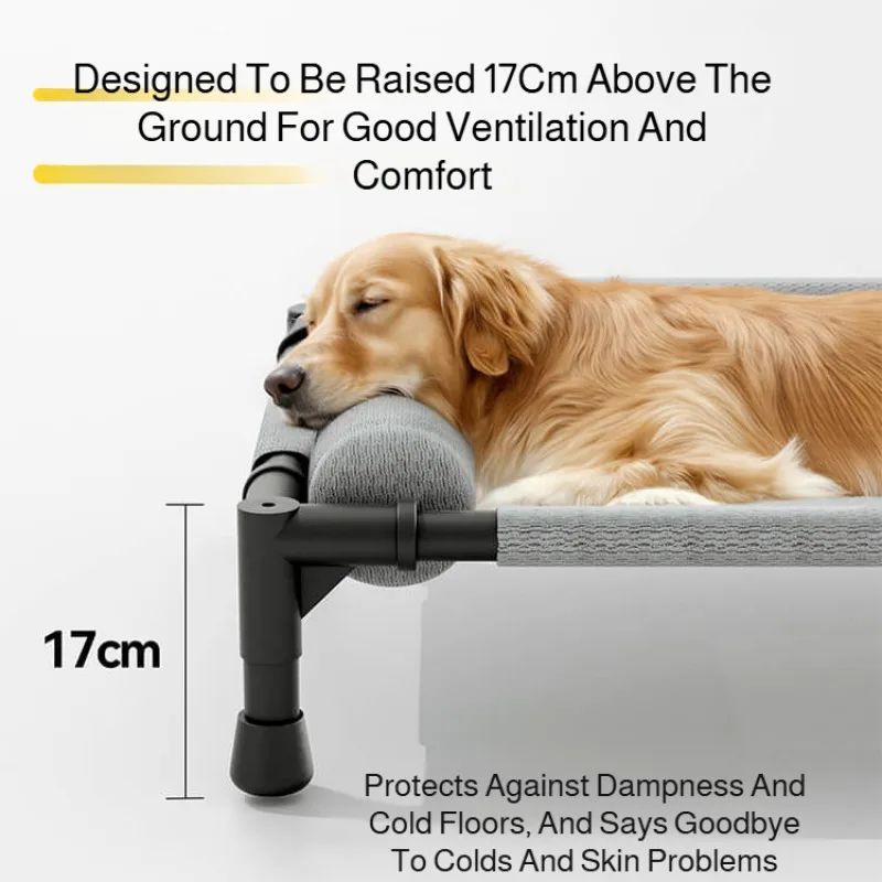 AirRest Raised Pet Bed With Mesh Cushion 3