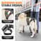 SupportStride Dog Lift Harness 2