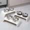 Elevated Double Stainless Steel Pet Feeding Station 2