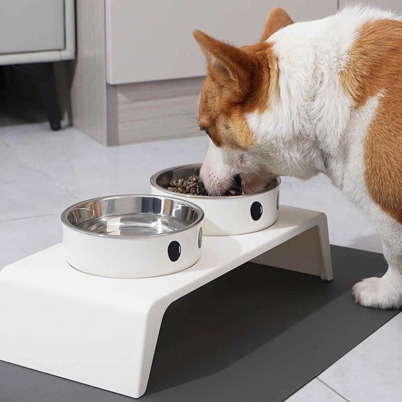 Elevated Double Stainless Steel Pet Feeding Station 3