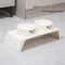 Elevated Double Stainless Steel Pet Feeding Station 8