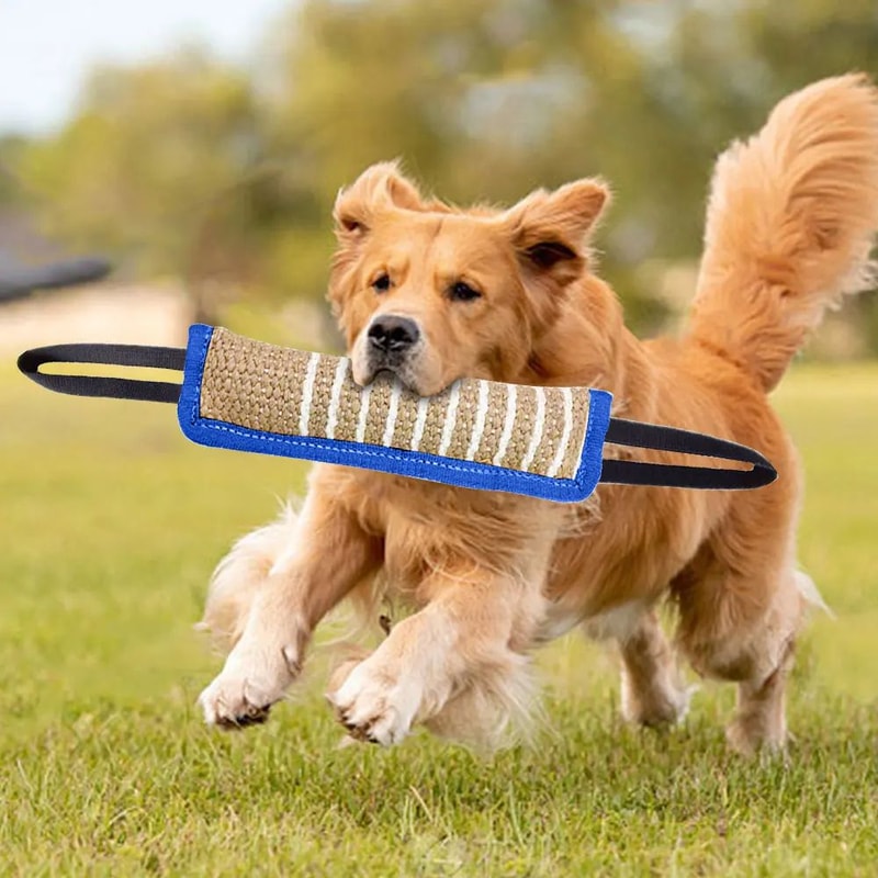 Dog Bite Training Rod For Puppies And Working Dogs 3