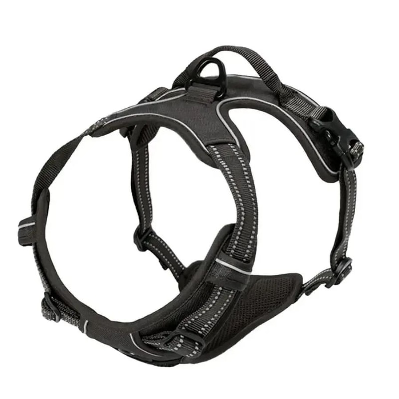 Comfort Fit Dog Harness And Leash Set For Small And Medium Dogs 6