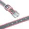 Personalized Engraved Leather Dog Collar For Small Medium And Large Dogs 4