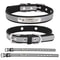 Personalized Engraved Leather Dog Collar For Small Medium And Large Dogs 6