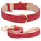 Soft Padded Leather Dog Collar And Leash Set 17