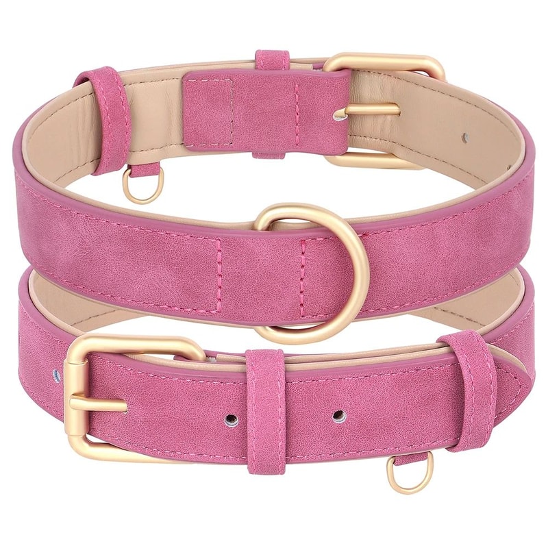 Soft Padded Leather Dog Collar And Leash Set 18