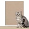 Self Adhesive Cat Scratcher Sofa Protector Mat 11