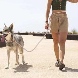 adjustable hands free dog leash for walking and running